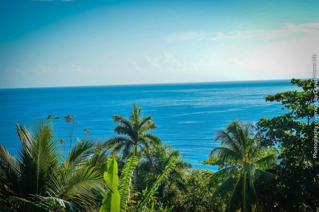 Ackee Tree Sea View Villa Port Antonio Exterior photo