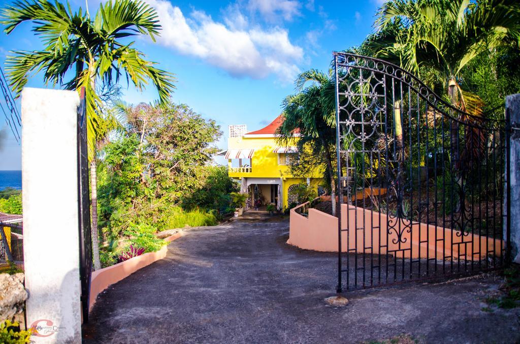 Ackee Tree Sea View Villa Port Antonio Exterior photo